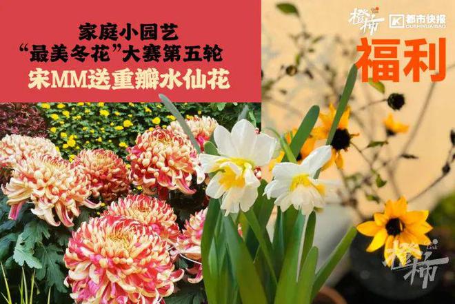 王茶姬动物手机支架……橙柿超多福利送送送爱游戏入口时髦人都有的巴拉克拉法帽、霸(图9)