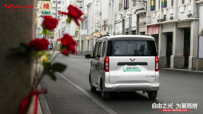 向新能源转型 “相伴你的创业之路”ayx爱游戏体育网页版入口五菱红标(图4)